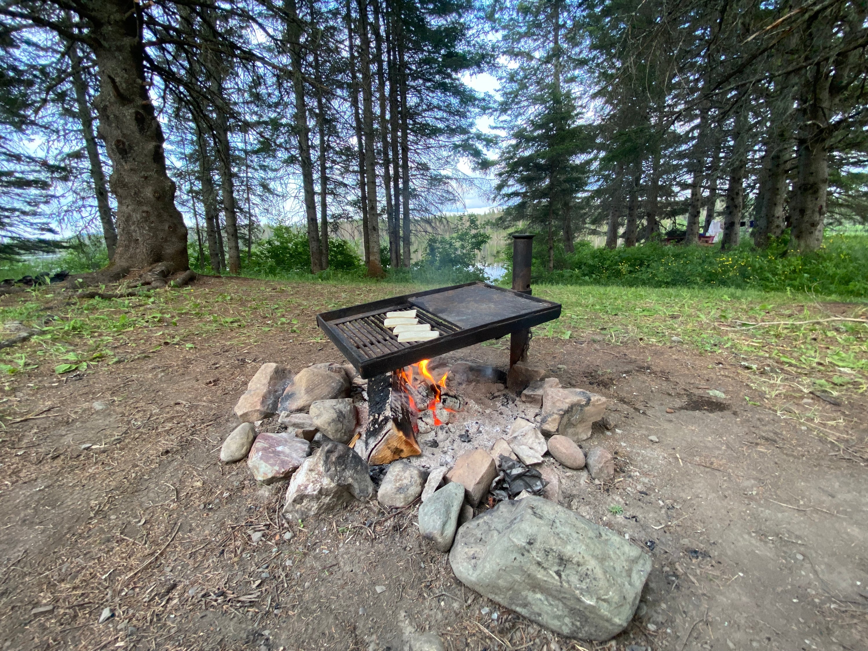 Petit guide pour bien manger en camping!