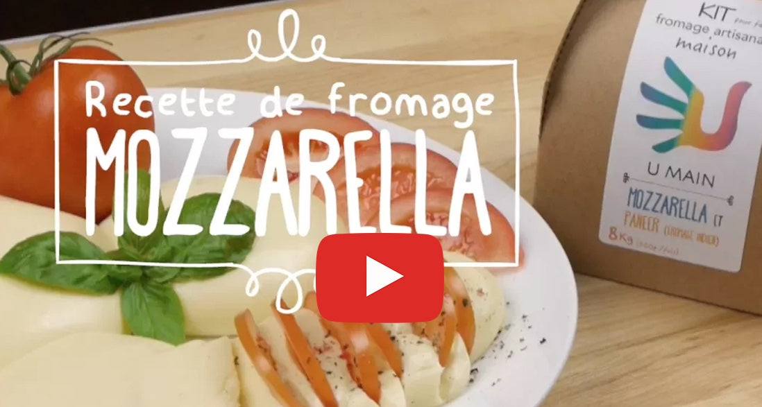 Vidéo instruction : fabrication de mozzarella maison