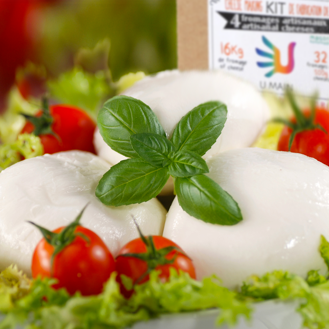 Boules de mozzarella fait maison - Kits pour faire du fromage U MAIN