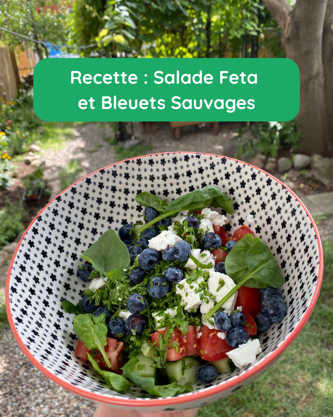 Recette : Salade de fromage feta maison et bleuets