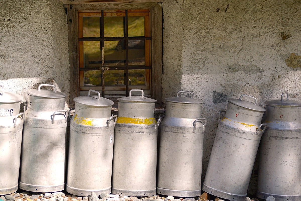 Utilisation du lait cru avec les kits U MAIN